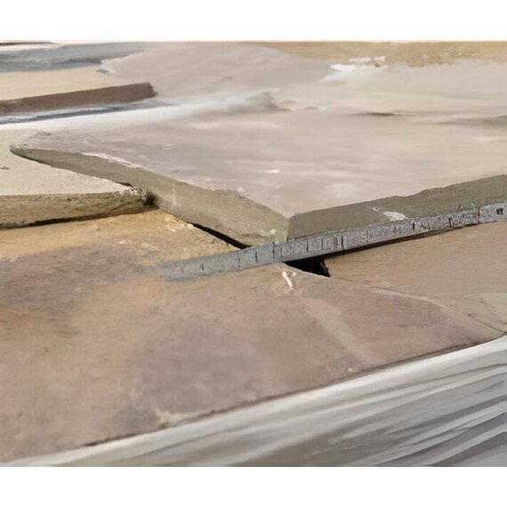 Пластушка серо-зеленая