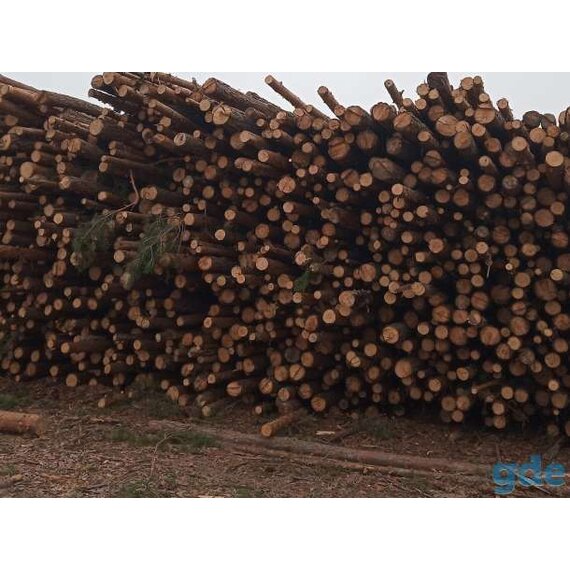 Тех.сырье береза, липа, осина, ель, сосна.