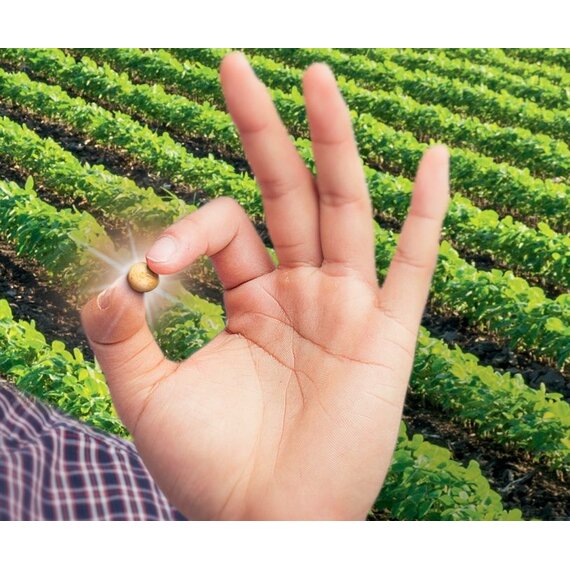 Дэлит Про, протравитель семян