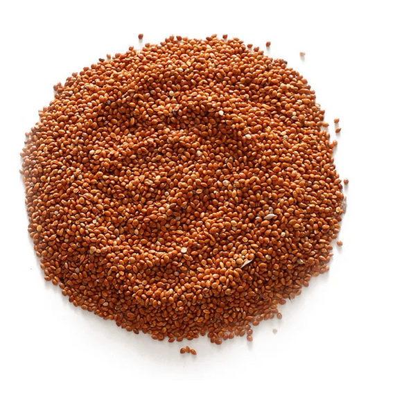 Просо красное