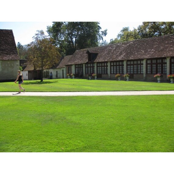 Газонная травяная смесь - Декоративная