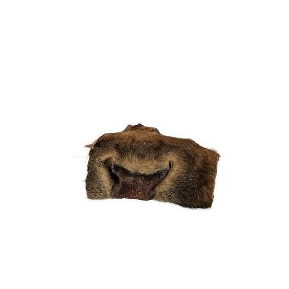 Лакомство для собак Носы говяжьи 1 шт