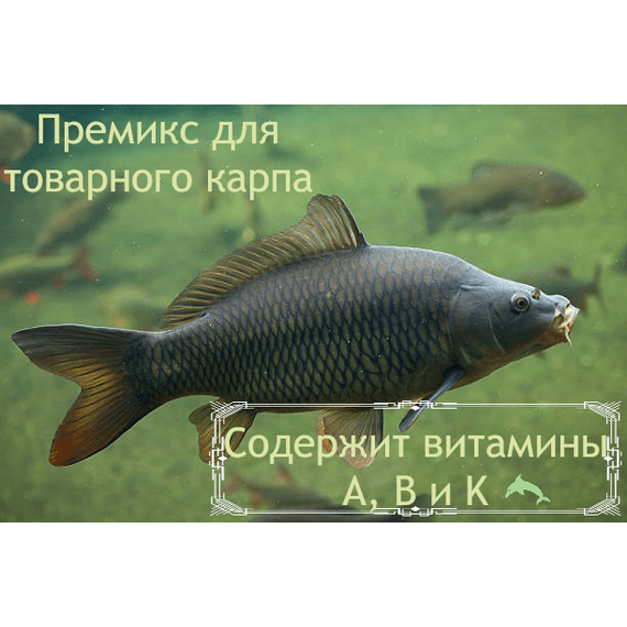 Премикс для рыб (карп товарный)