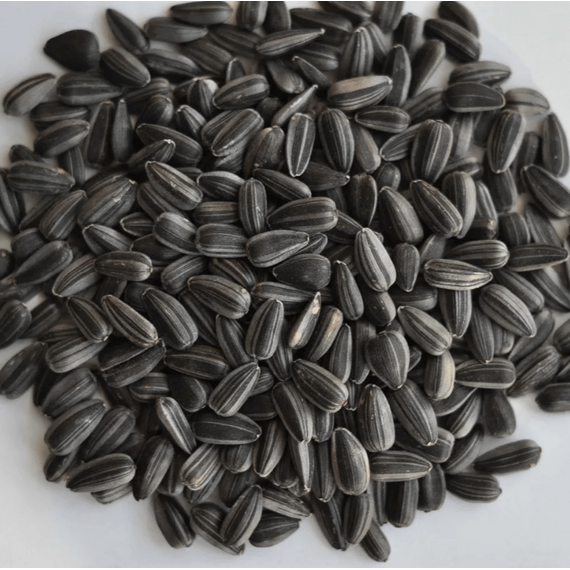 Семена подсолнечника