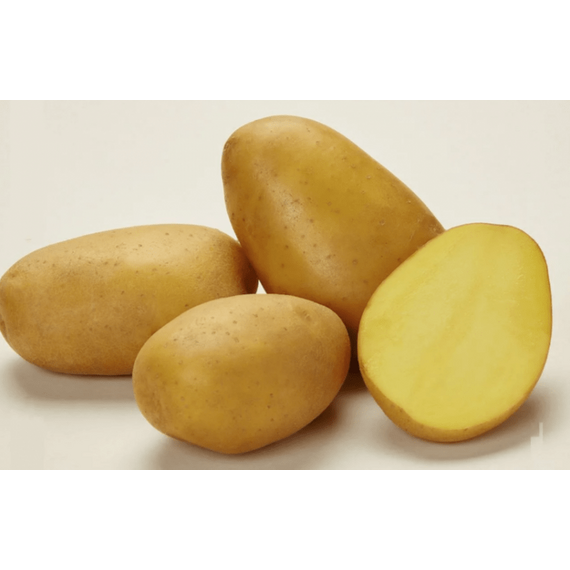 Семенной картофель сорт Крона