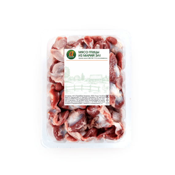 Мышечный желудок цыпленка-бройлера