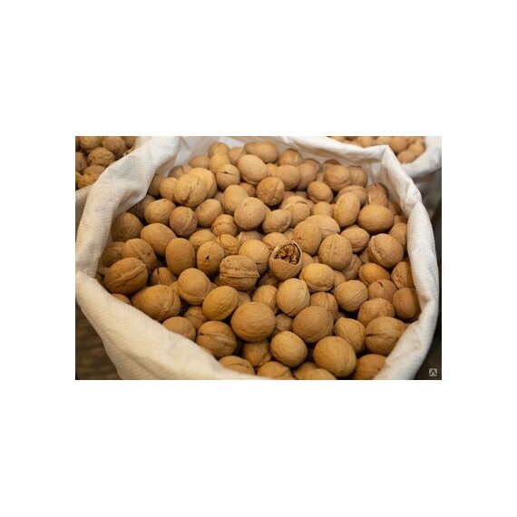 Грецкий орех в скорлупе