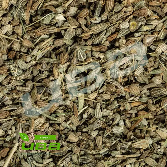 Анис плоды