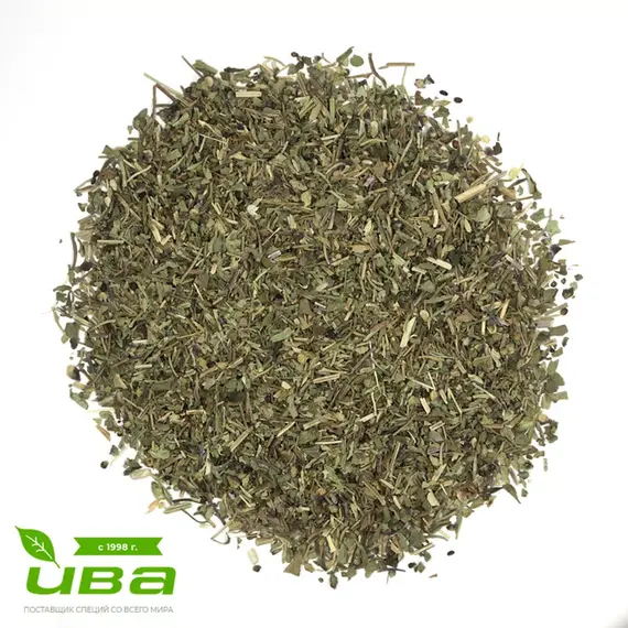 Базилик лист