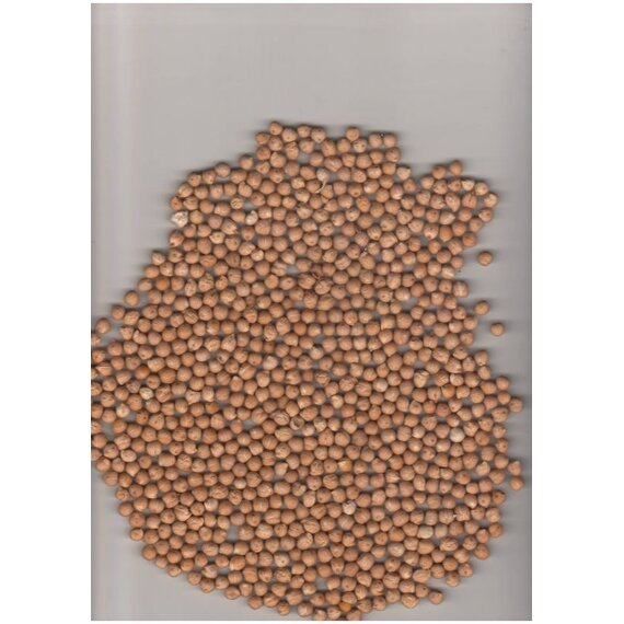 Семена нута сорт Сокол