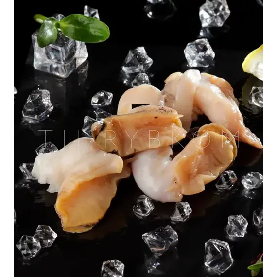 Моллюск Трубач