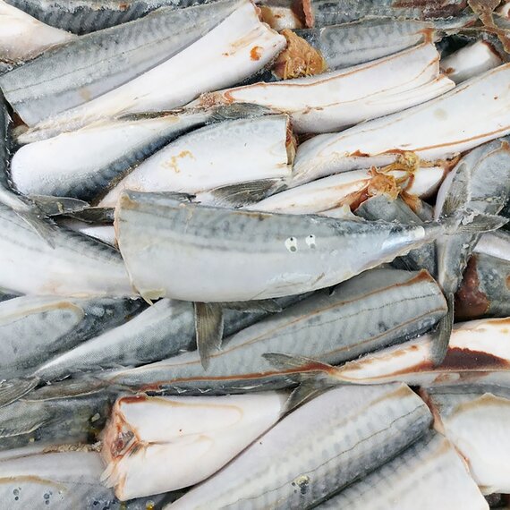 Скумбрия C/м, б/г