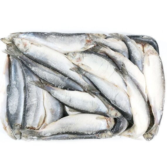 Сельдь C/м н/р