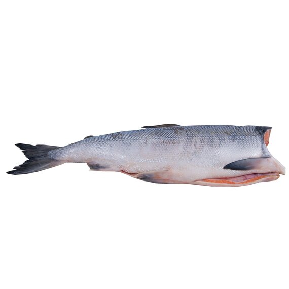 Горбуша ПБГ