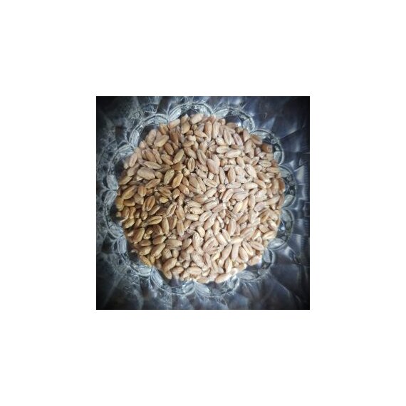 Крупа ячневая