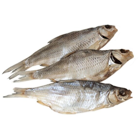 Вобла вяленая 19+