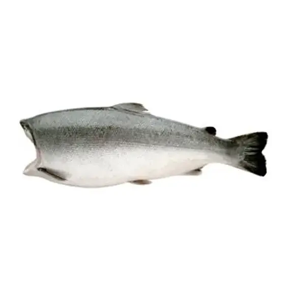 Кижуч ПБГ морская заморозка