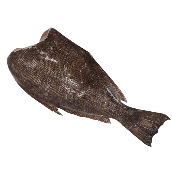 Тюрбо полосатый, ПБГ