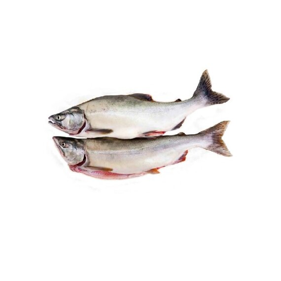 Горбуша ПСГ