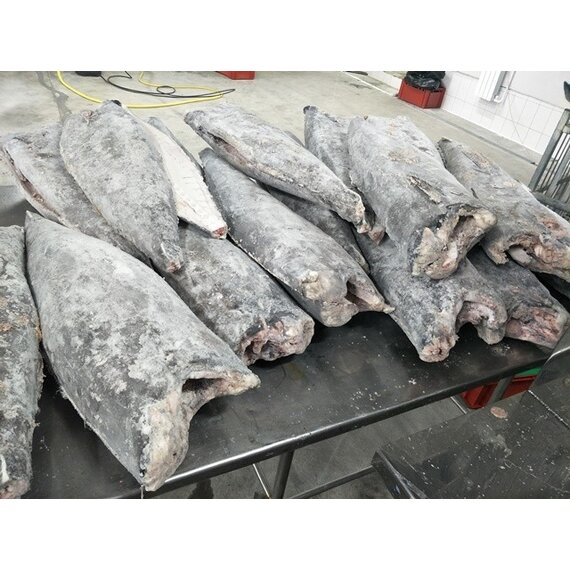 Масляная рыба тушка 6-10 кг