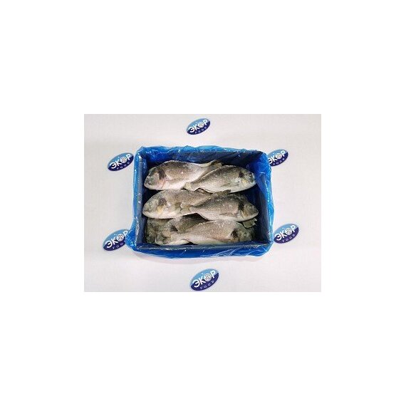 Дорадо Н/Р 300-400 1/5, Турция