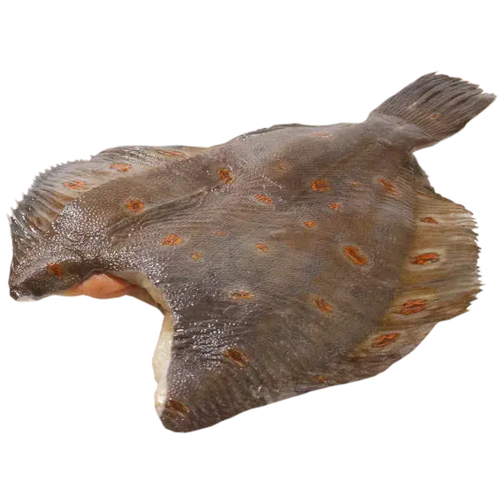 Камбала ёрш б/г 350+, икряная