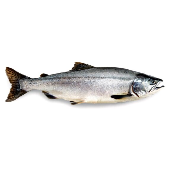 Горбуша БГ/НР/ПСГ