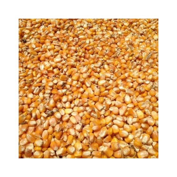 Кукуруза фуражная цельная