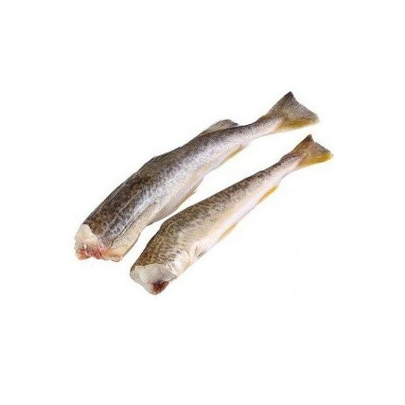 Навага БГ 23+ Судовая