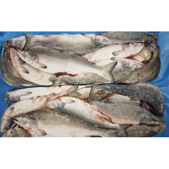 Горбуша н/р (1/20*10) ВестФиш