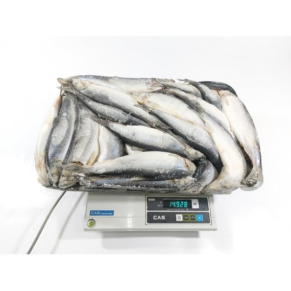 Сельдь н/р морож. 200-300 г