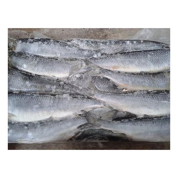 Сельдь ТО НР 25+