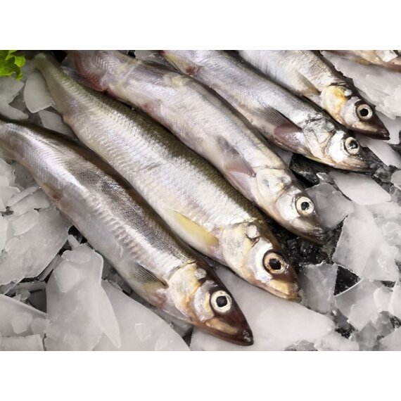 Мойва св мор (март)