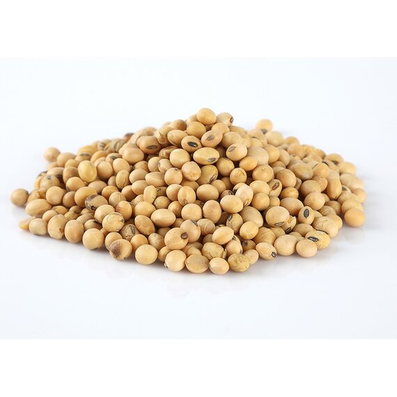 Семена сои Самер 1 Элита