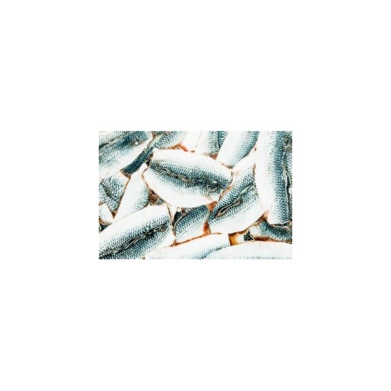 Филе сельди