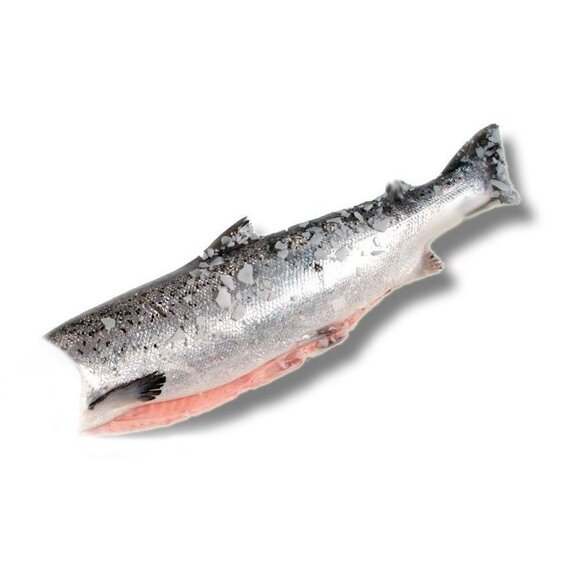 Горбуша ПБГ «Петр Богданов», рыба