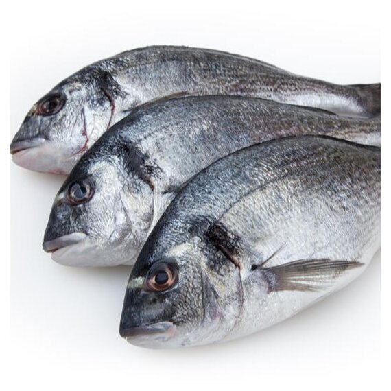 Дорадо н/р 300-400 с/м IQF 10 кг