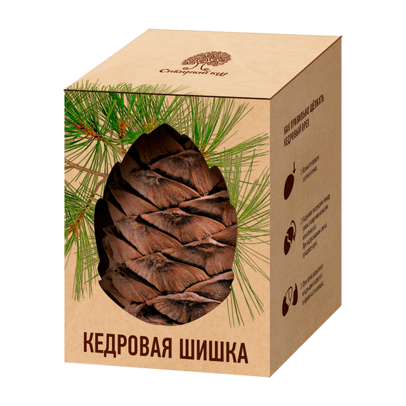 Кедровая шишка в вакууме