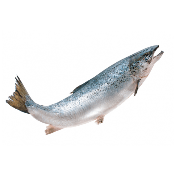 Нерка пбг S 1,2- 1,8