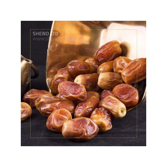 Захеди Финики