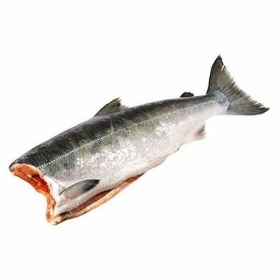 Кета ПБГ Хангар