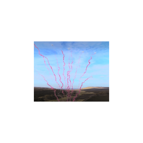 Пиротехника Ряд дневной 1,2"х10 красный дым с треском