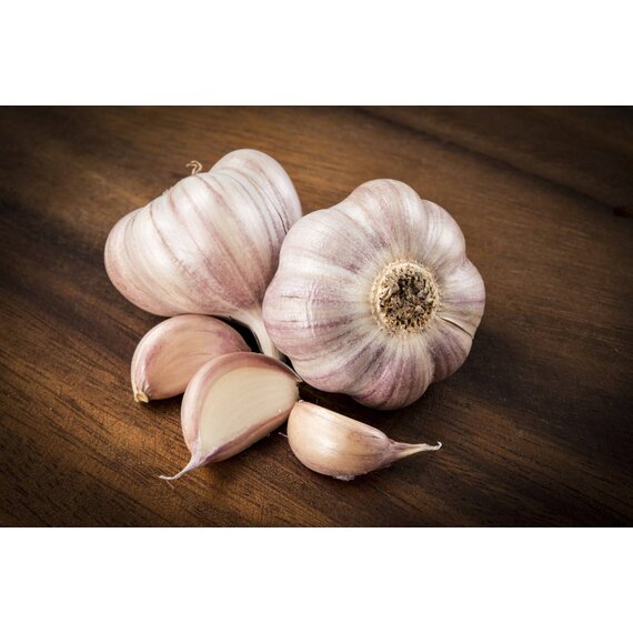 Чеснок