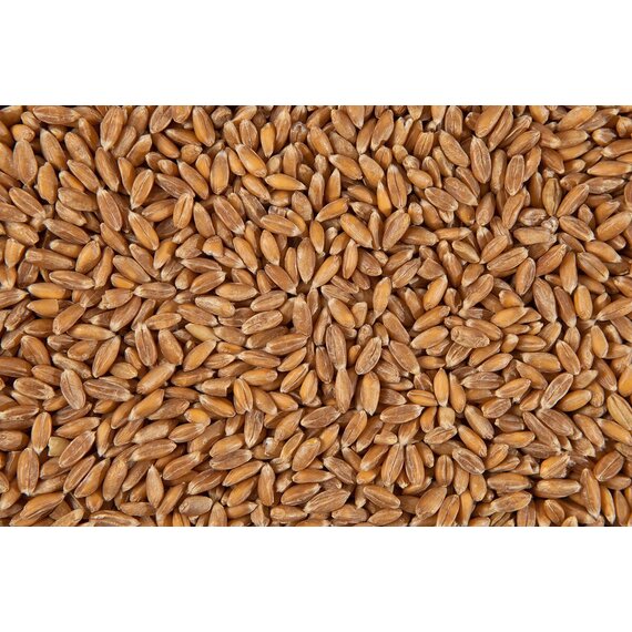 Полба органическая