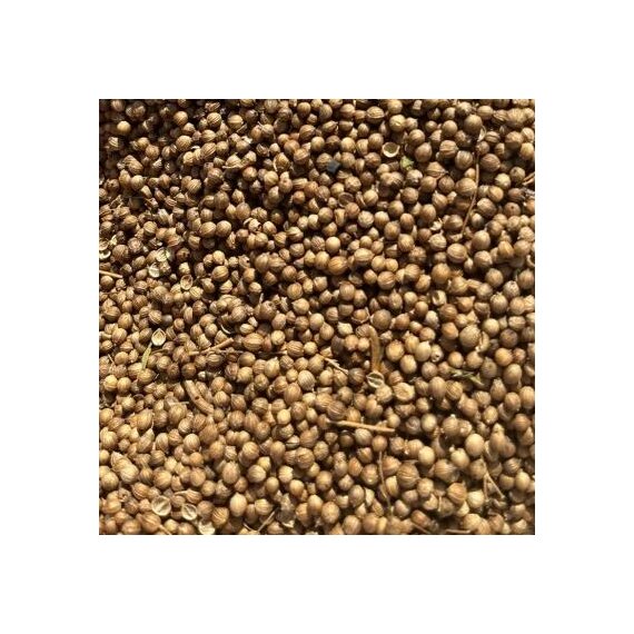 Кориандр целый