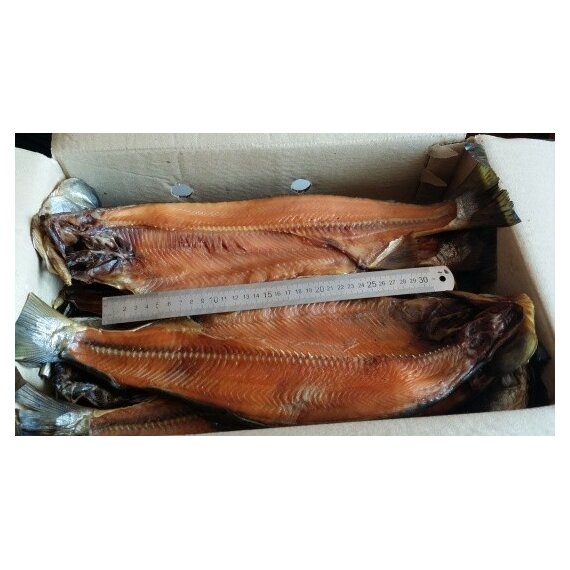 Горбуша Х/К пласт.