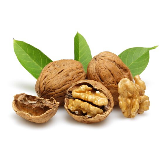 Грецкий орех