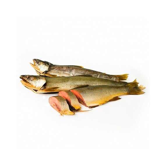 Голец холодного копчения