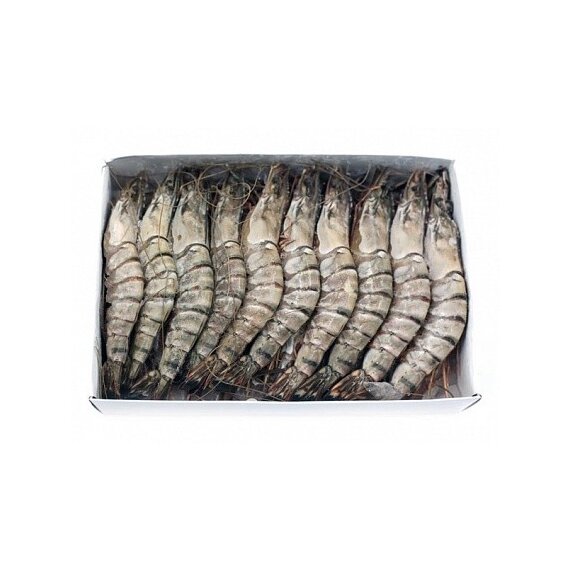 Креветки черные тигровые C/г 16/20, 1000гр