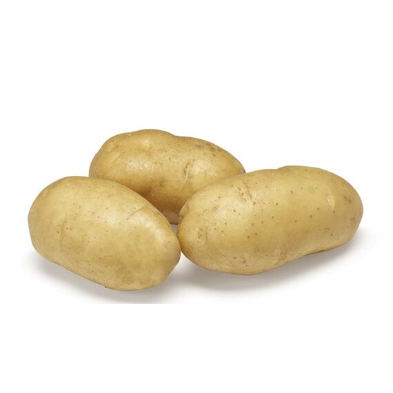 Картофель Импала РС1